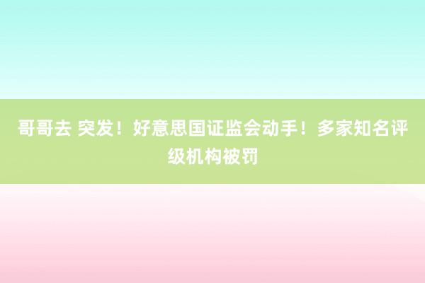 哥哥去 突发！好意思国证监会动手！多家知名评级机构被罚