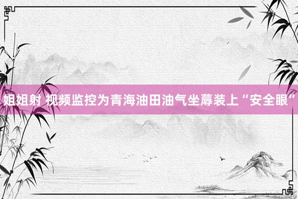 姐姐射 视频监控为青海油田油气坐蓐装上“安全眼”