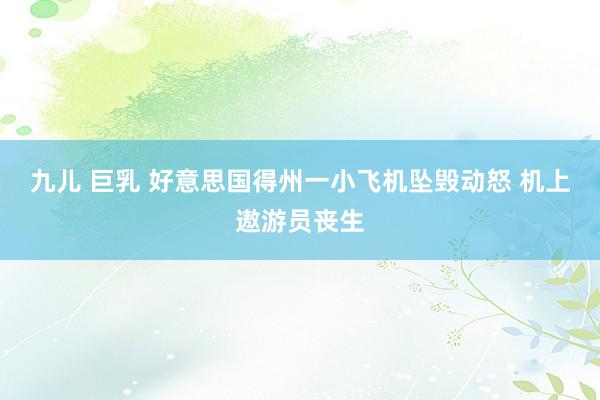 九儿 巨乳 好意思国得州一小飞机坠毁动怒 机上遨游员丧生