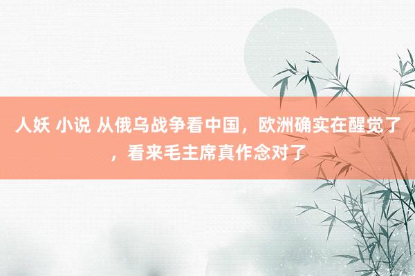 人妖 小说 从俄乌战争看中国，欧洲确实在醒觉了，看来毛主席真作念对了