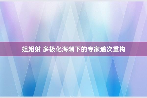 姐姐射 多极化海潮下的专家递次重构