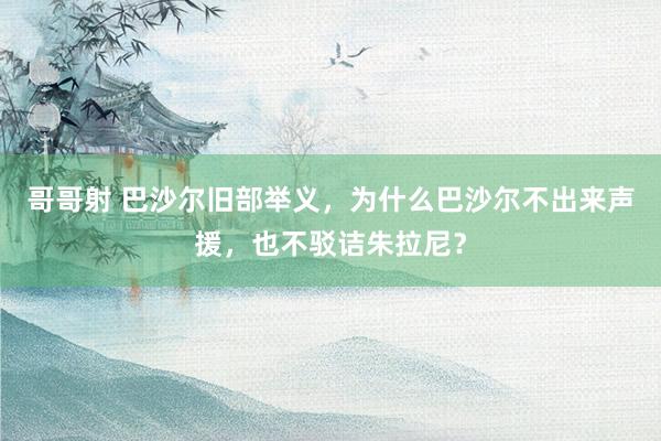 哥哥射 巴沙尔旧部举义，为什么巴沙尔不出来声援，也不驳诘朱拉尼？