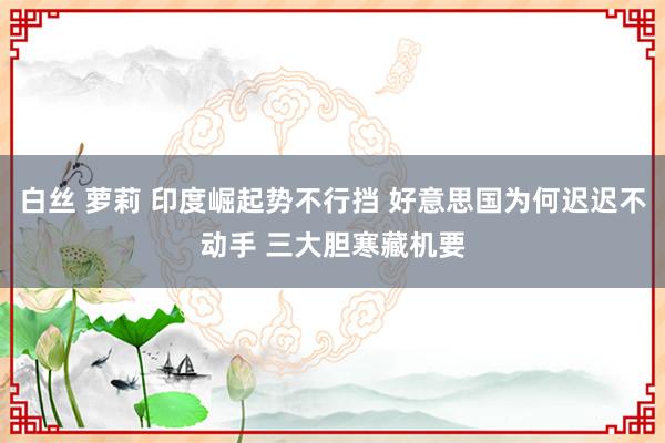 白丝 萝莉 印度崛起势不行挡 好意思国为何迟迟不动手 三大胆寒藏机要