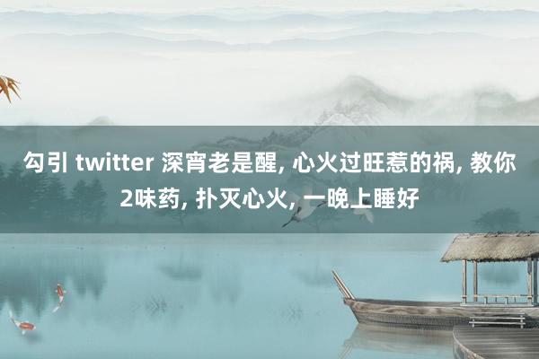 勾引 twitter 深宵老是醒, 心火过旺惹的祸, 教你2味药, 扑灭心火, 一晚上睡好