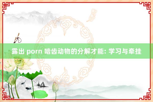 露出 porn 啮齿动物的分解才能: 学习与牵挂