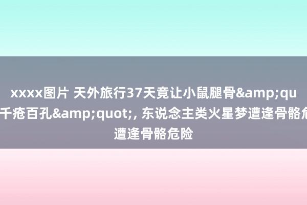 xxxx图片 天外旅行37天竟让小鼠腿骨&quot;千疮百孔&quot;, 东说念主类火星梦遭逢骨骼危险