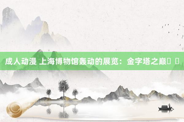 成人动漫 上海博物馆轰动的展览：金字塔之巅❗️