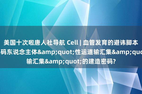 美国十次啦唐人社导航 Cell | 血管发育的避讳脚本: 科学家何如解码东说念主体&quot;性运道输汇集&quot;的建造密码?