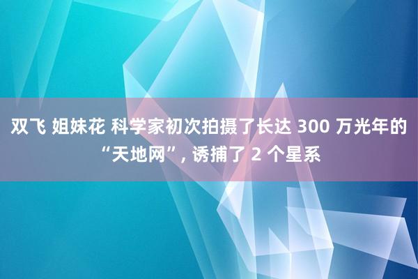 双飞 姐妹花 科学家初次拍摄了长达 300 万光年的“天地网”, 诱捕了 2 个星系