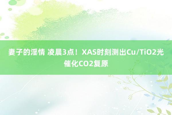 妻子的淫情 凌晨3点！XAS时刻测出Cu/TiO2光催化CO2复原