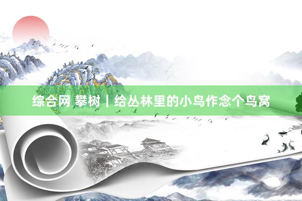 综合网 攀树｜给丛林里的小鸟作念个鸟窝