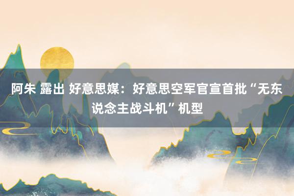 阿朱 露出 好意思媒：好意思空军官宣首批“无东说念主战斗机”机型