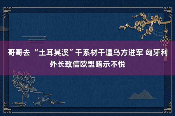 哥哥去 “土耳其溪”干系材干遭乌方进军 匈牙利外长致信欧盟暗示不悦