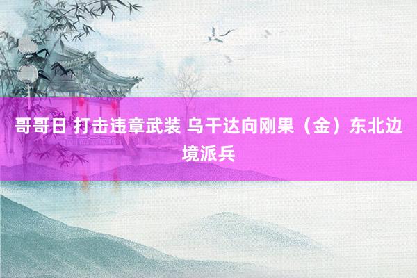 哥哥日 打击违章武装 乌干达向刚果（金）东北边境派兵