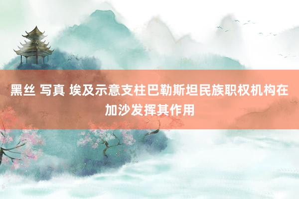黑丝 写真 埃及示意支柱巴勒斯坦民族职权机构在加沙发挥其作用