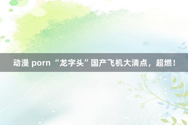 动漫 porn “龙字头”国产飞机大清点，超燃！