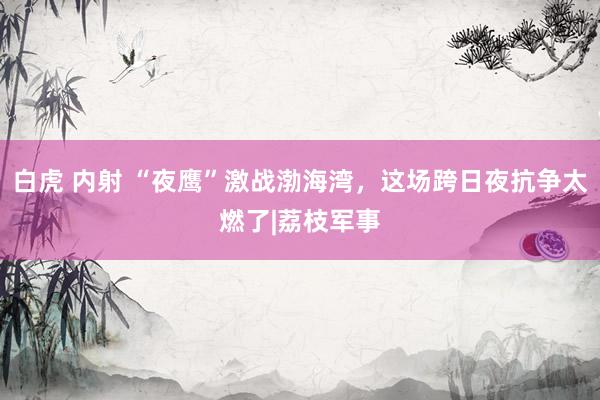 白虎 内射 “夜鹰”激战渤海湾，这场跨日夜抗争太燃了|荔枝军事