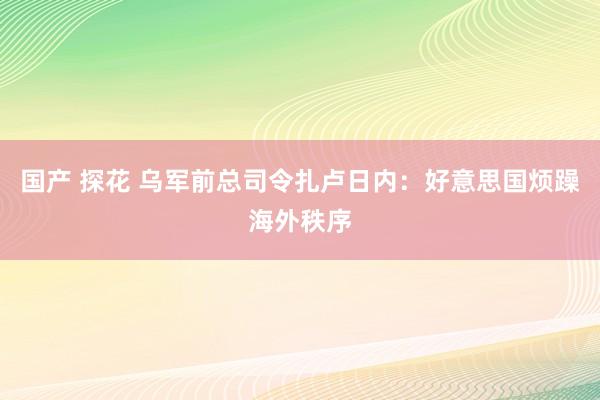 国产 探花 乌军前总司令扎卢日内：好意思国烦躁海外秩序