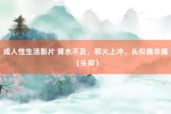 成人性生活影片 肾水不及，邪火上冲，头似痛非痛（头部）