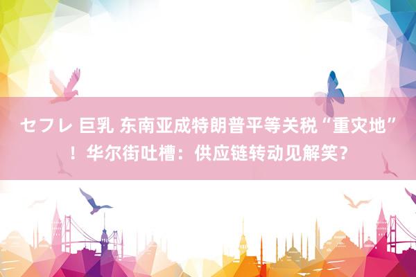 セフレ 巨乳 东南亚成特朗普平等关税“重灾地”！华尔街吐槽：供应链转动见解笑？